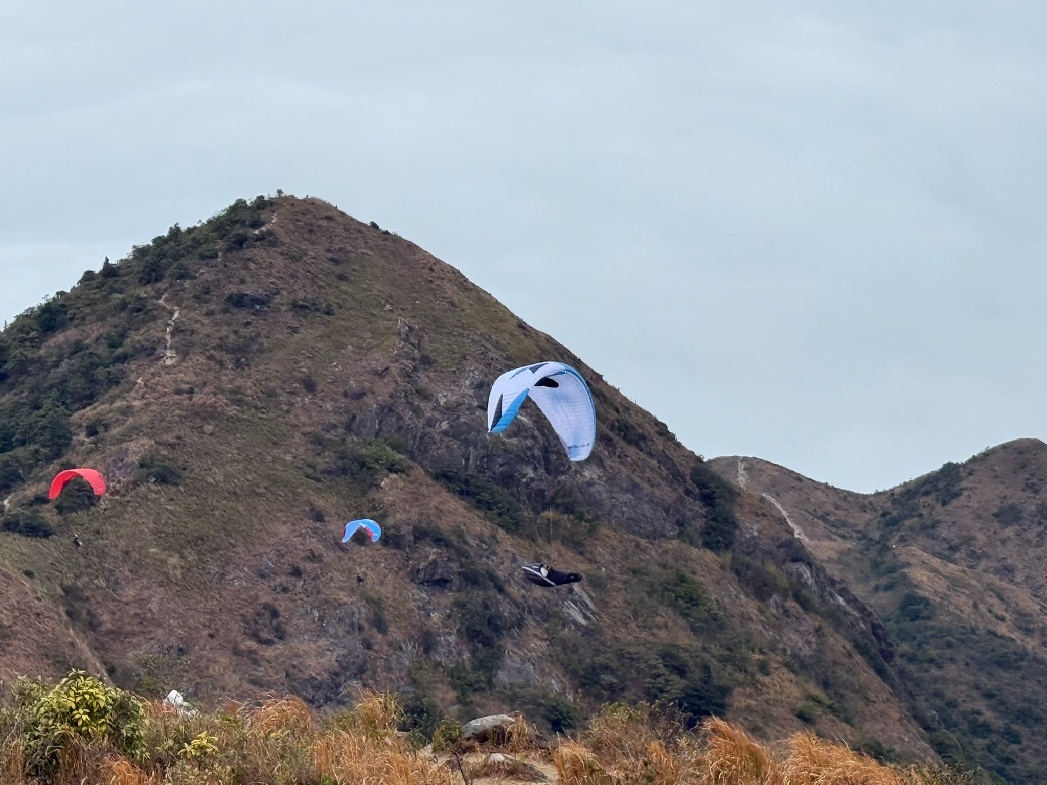 Pilot and guest launching from hillside
